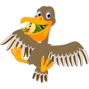 Brown pelican cartoon