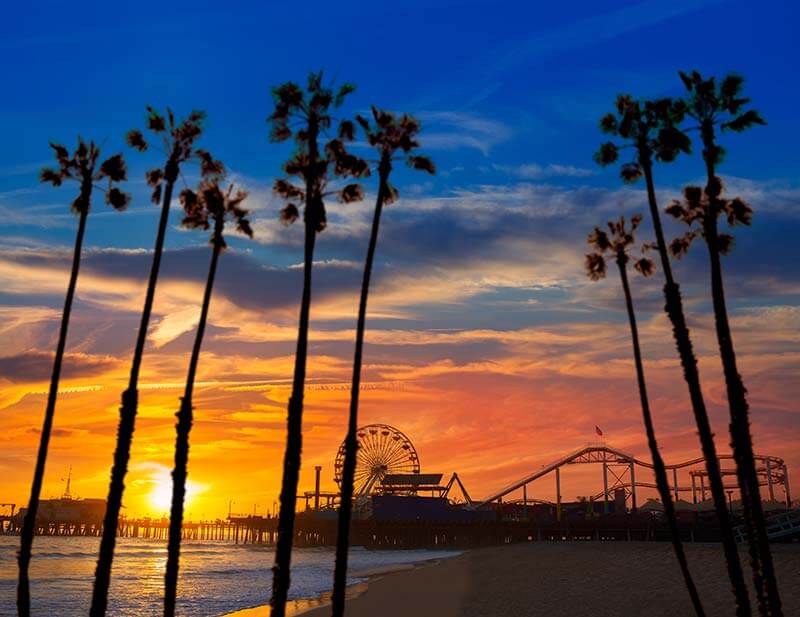 Palm trees in front of sunset behind the ocean and Santa Monica pier