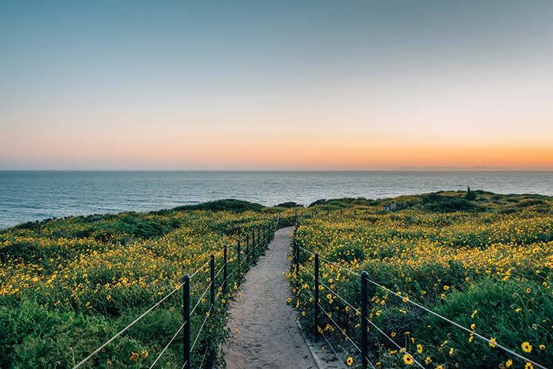 Trail at Dana Point Headlands heading towards the ocean during sunset