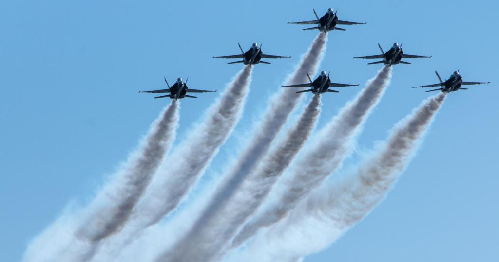Flyover in formation Dave's dolphin and whale watching
