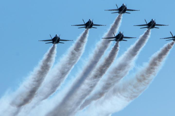 Flyover in formation Dave's dolphin and whale watching