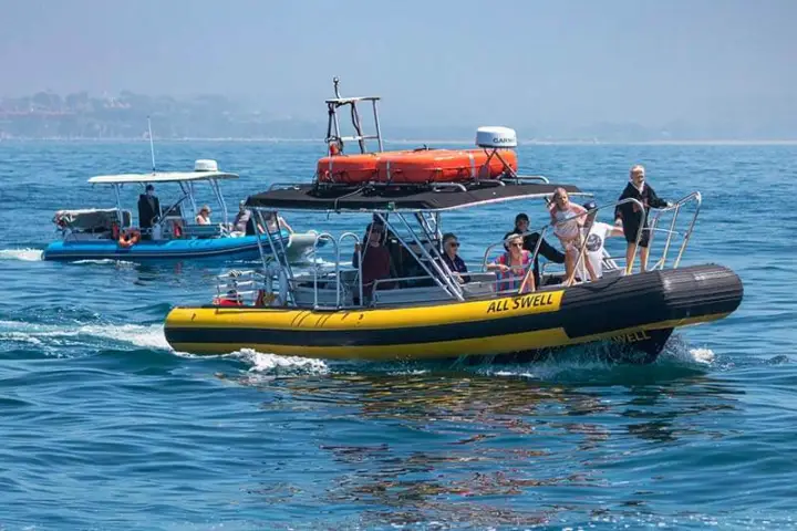 Our fleet of rigid inflatable (zodiac-style) boats