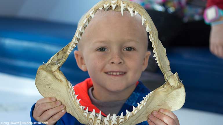 Boy Holding Shark Jaw