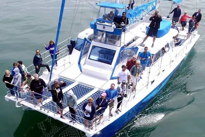 Drone flies over whale watching catamaran Manute'a