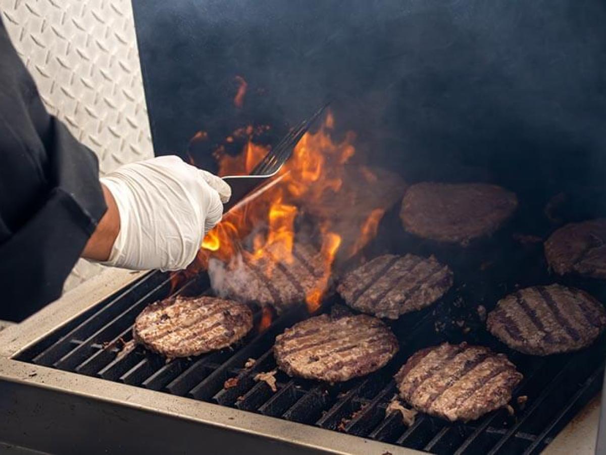 Book Now Super Safari Dolphin & Whale Watching Capt. Dave's