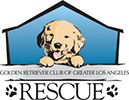 Golden Retriever Rescue Company Logo