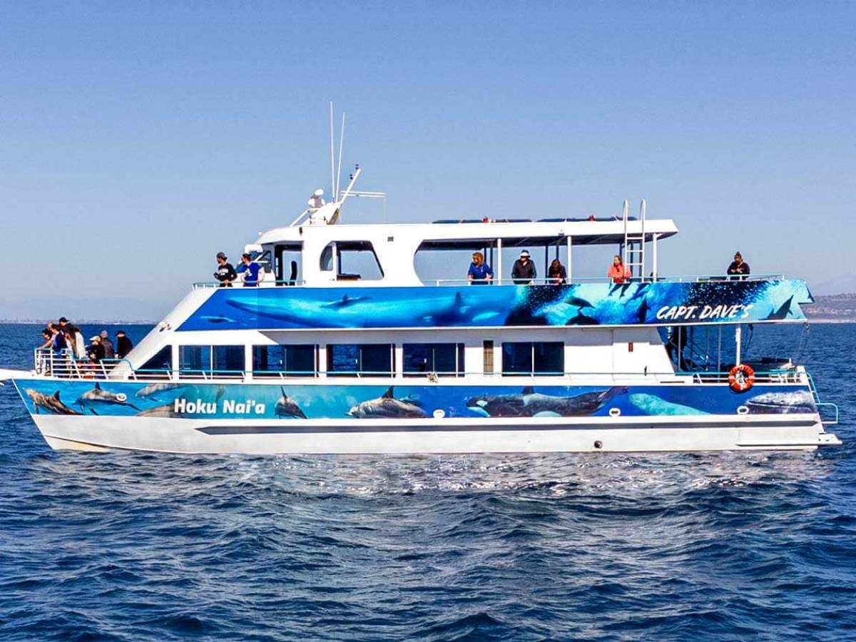 Hoku Nai'a Whale Watching Power Catamaran off the coast of Dana Point, CA