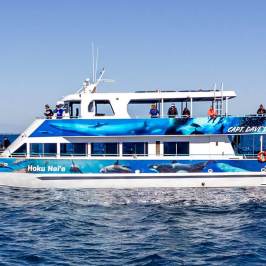 Hoku Nai'a Whale Watching Power Catamaran off the coast of Dana Point, CA