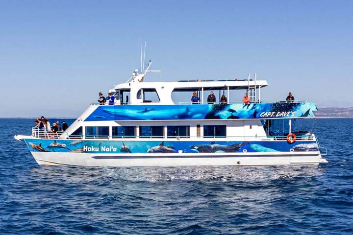 Hoku Nai'a Whale Watching Power Catamaran off the coast of Dana Point, CA