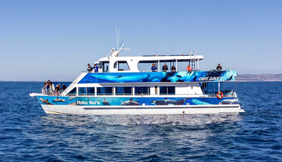 Hoku-Naia-Whale-Watching-Catamaran Hoku Nai'a Whale Watching Power Catamaran off the coast of Dana Point, CA