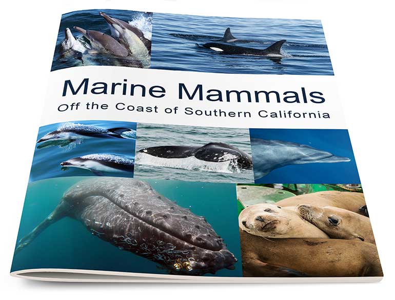 Marine Mammals Lab Book