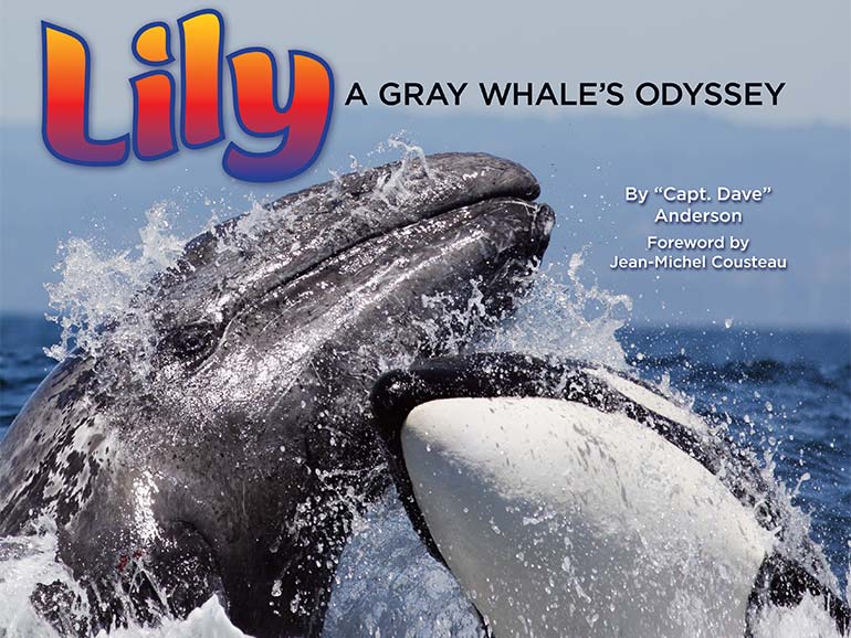 Lily-Book-Cover_770x578_copyright-Dave-Anderson Lily Book Cover
