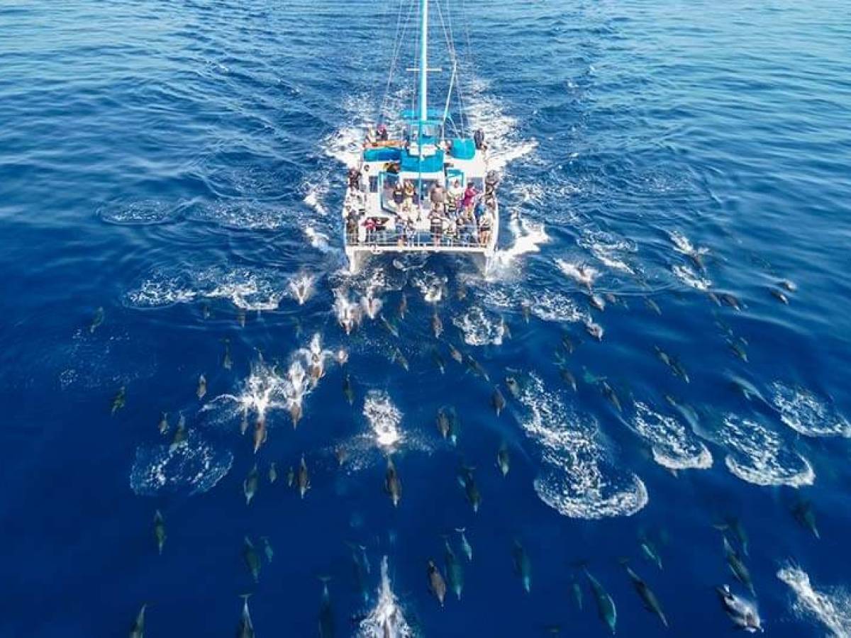 Manute'a and huge pod of dolphins in glassy seas during Dana Point whale watching cruise
