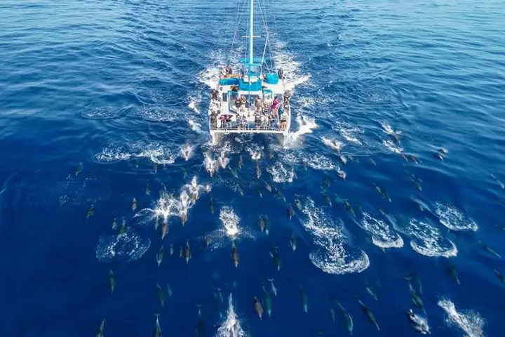 Manute'a and huge pod of dolphins in glassy seas during Dana Point whale watching cruise