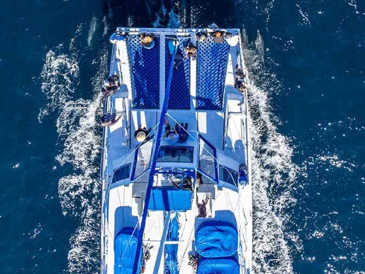 Overlooking Manute'a during Dana Point whale watching safari