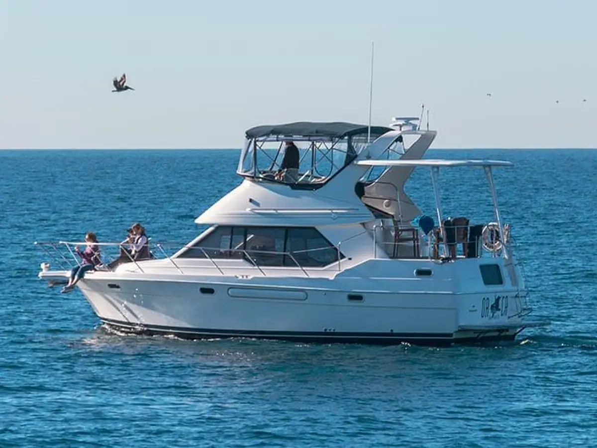 Whale watchers having fun on Motor Yacht ORCA