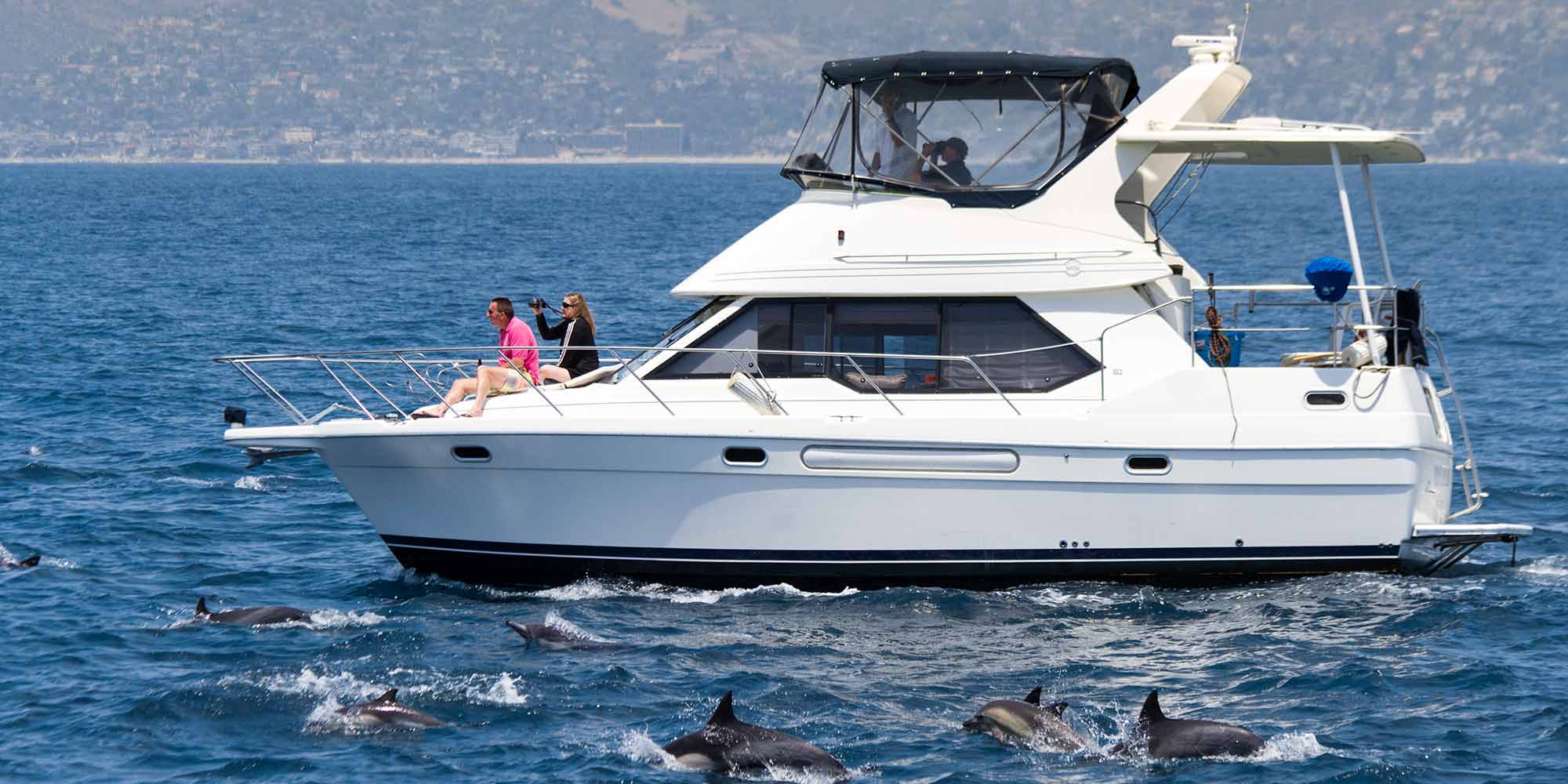 Two Story Boat in a Pod of Dolphins by Dana Point, CA