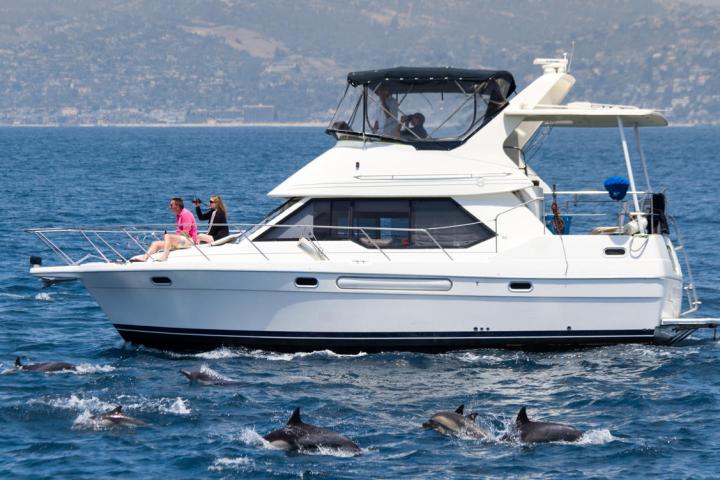 Capt. Dave's Luxury Motor Yacht ORCA