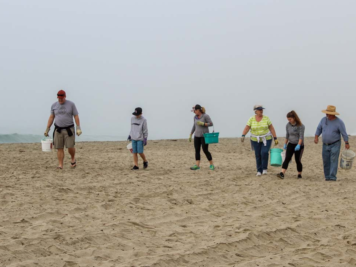 Beach Cleanup Day Captain Dave's