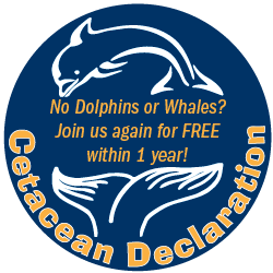 Sightings Guarantee Capt Dave's