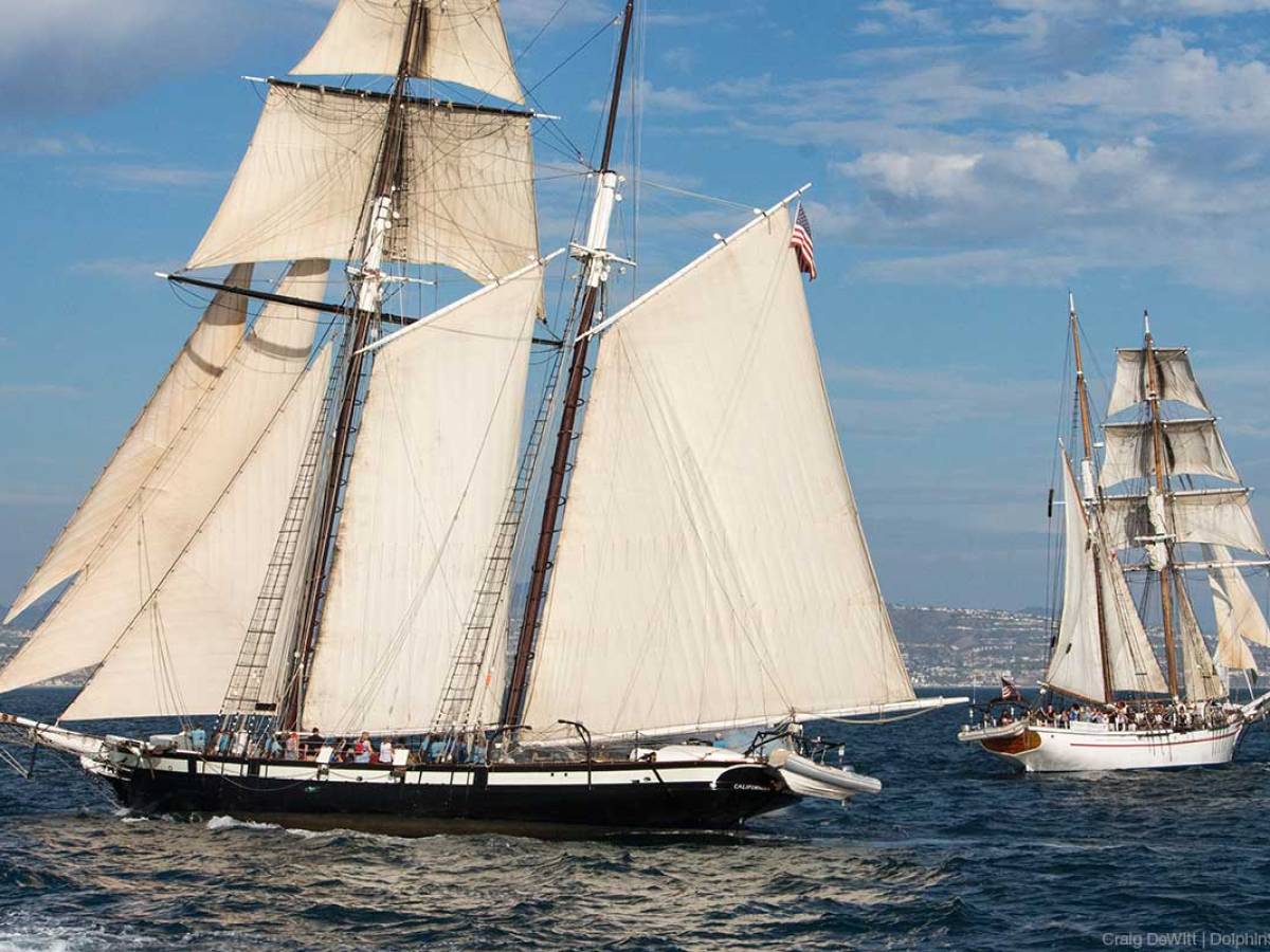 Two Tall Sailing Ships in California
