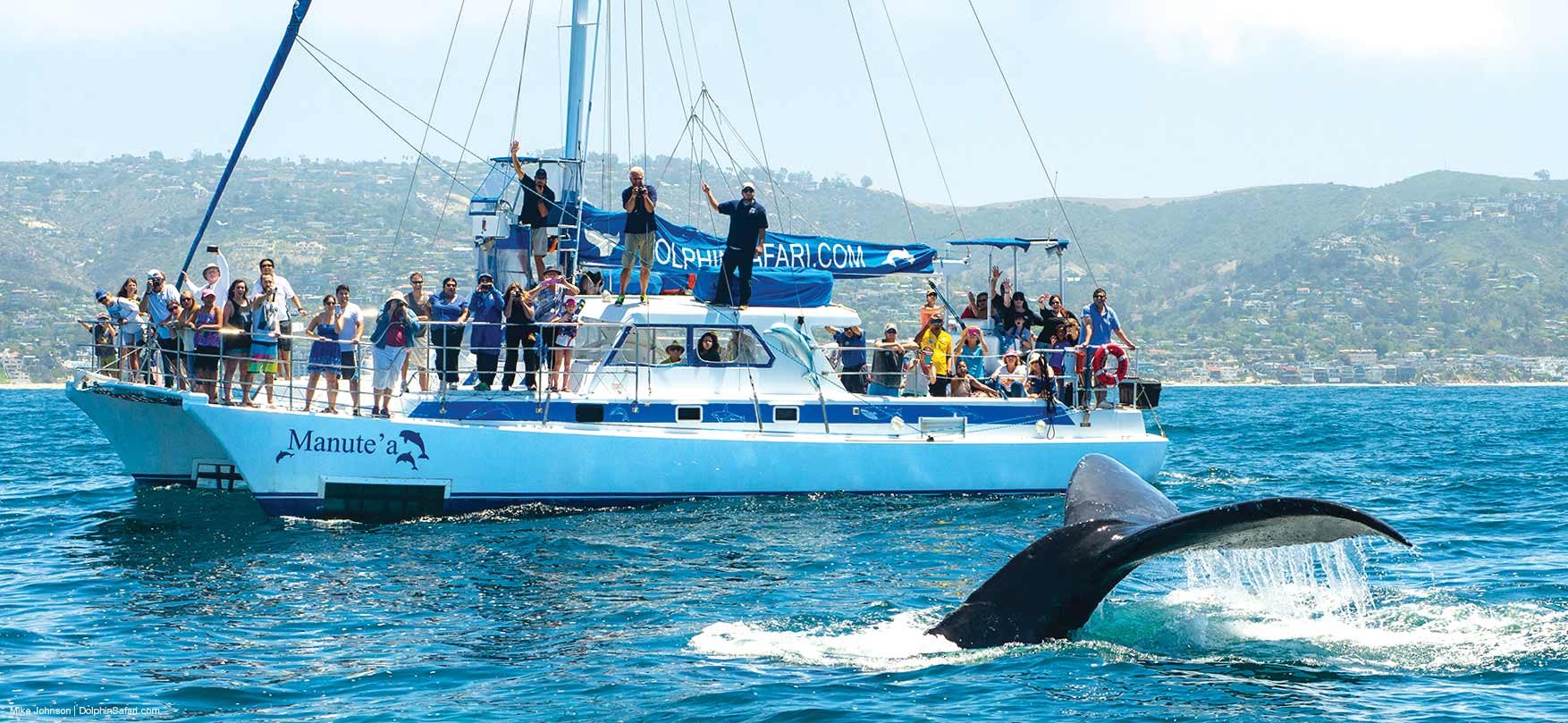 Whale watching catamaran sailboat Manute'a with humpback whale fluke