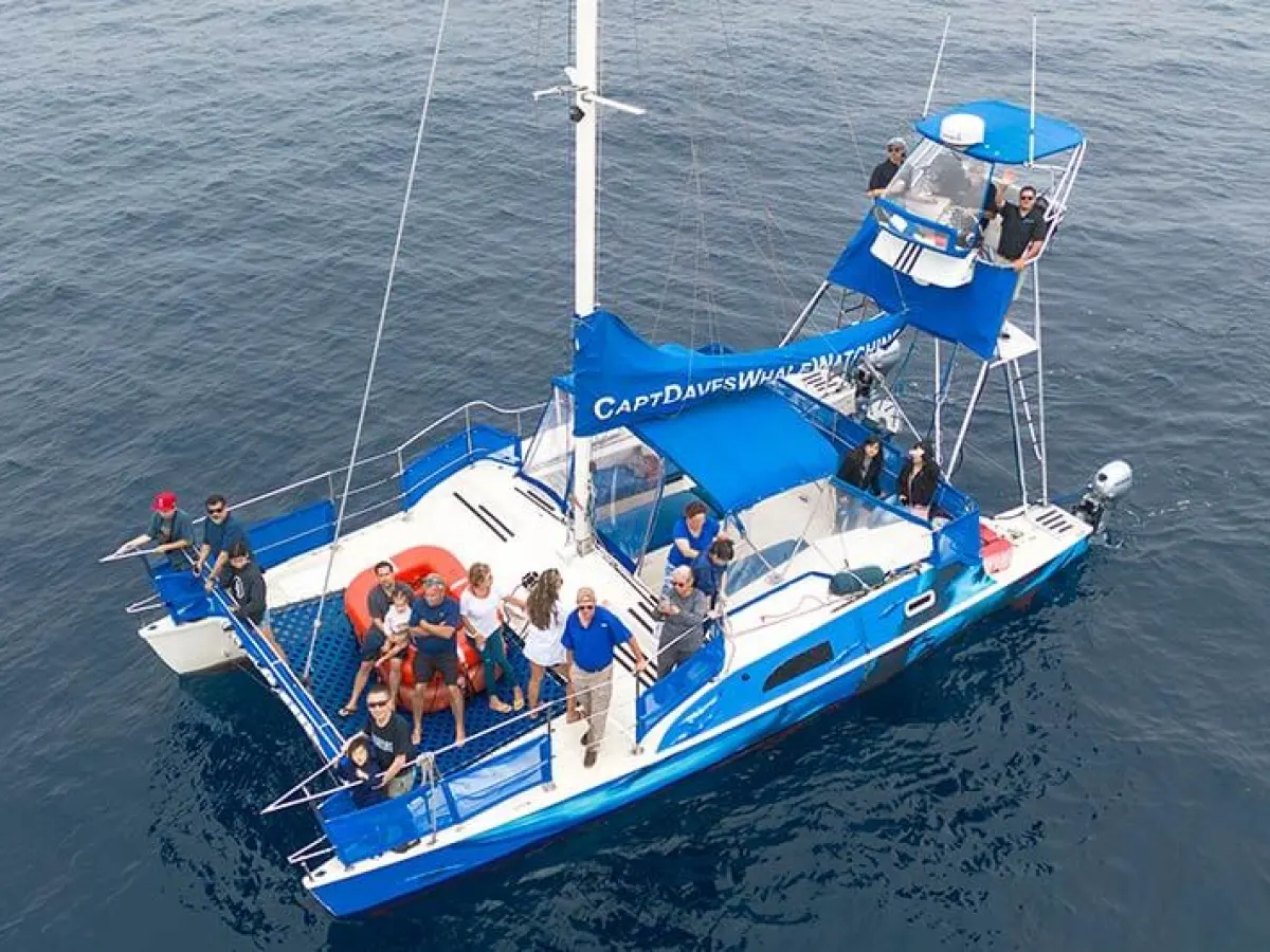 Drone view of catamaran DolphinSafari in Dana Point, California