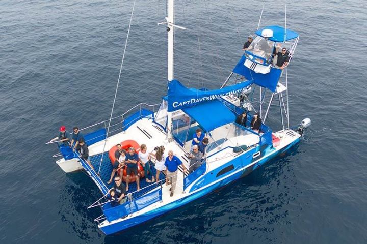 Drone view of catamaran DolphinSafari in Dana Point, California
