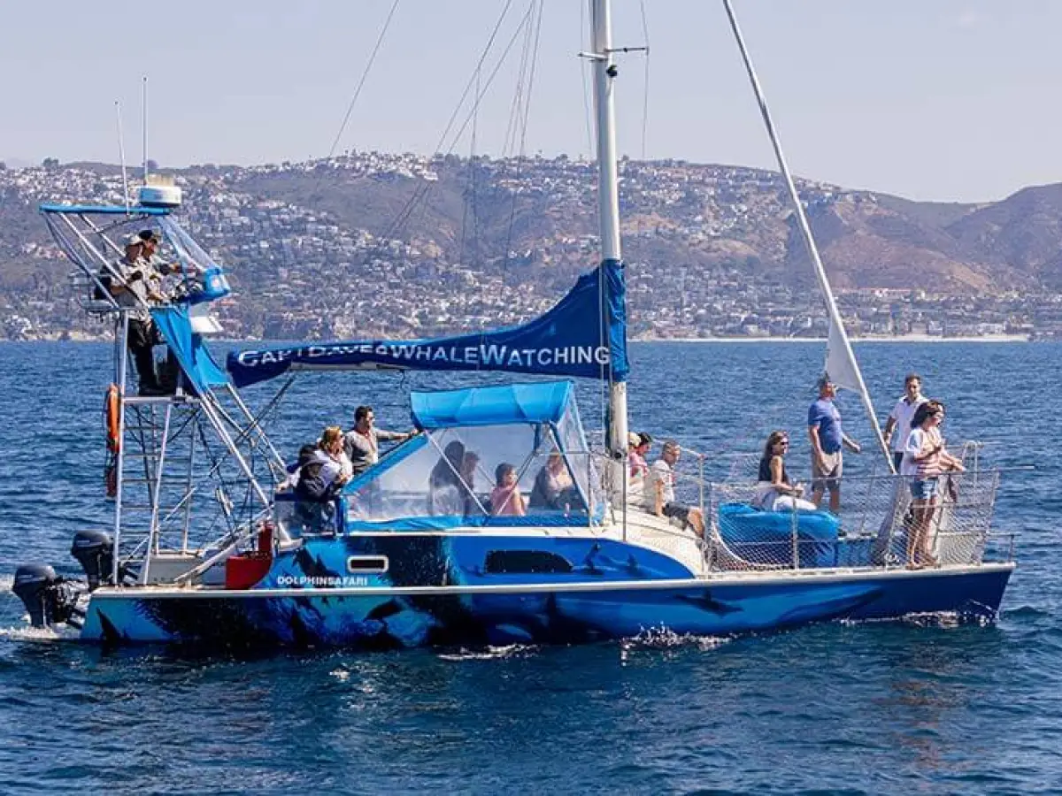 Catamaran DolphinSafari in Dana Point, California