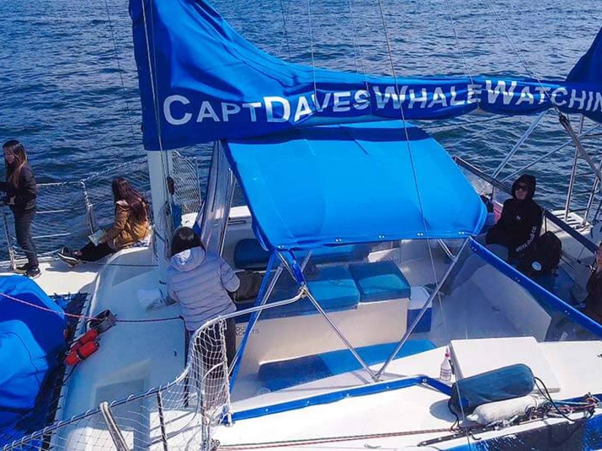 Seating on catamaran DolphinSafari in Dana Point, California