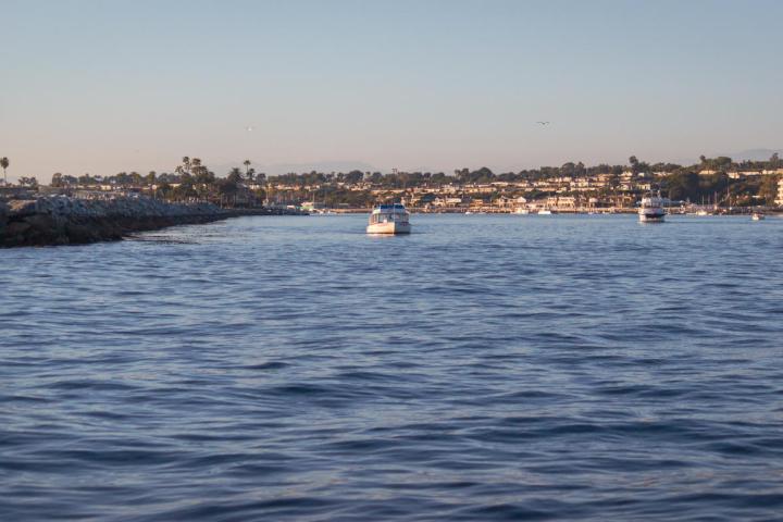 Gold Coast Cruise & Whale Watch