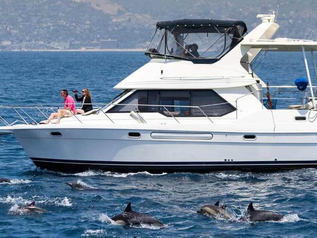 Luxury motor yacht orca