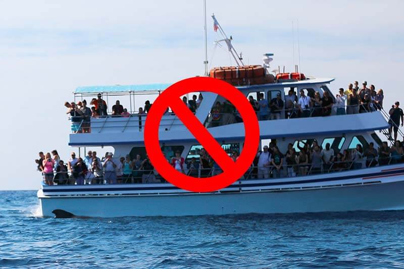No Cattle Boats A whale watching boat crowded with lots of people