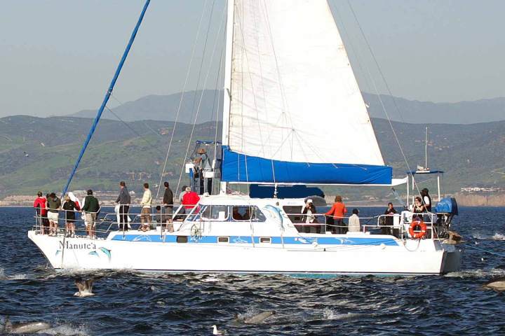 Manute'a under sail