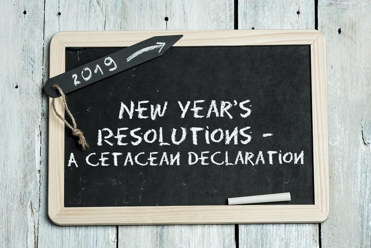 2019-New-Years-Resolutions-Cetacean-Declaration 2019 New Year's Resolutions - A Cetacean Declaration