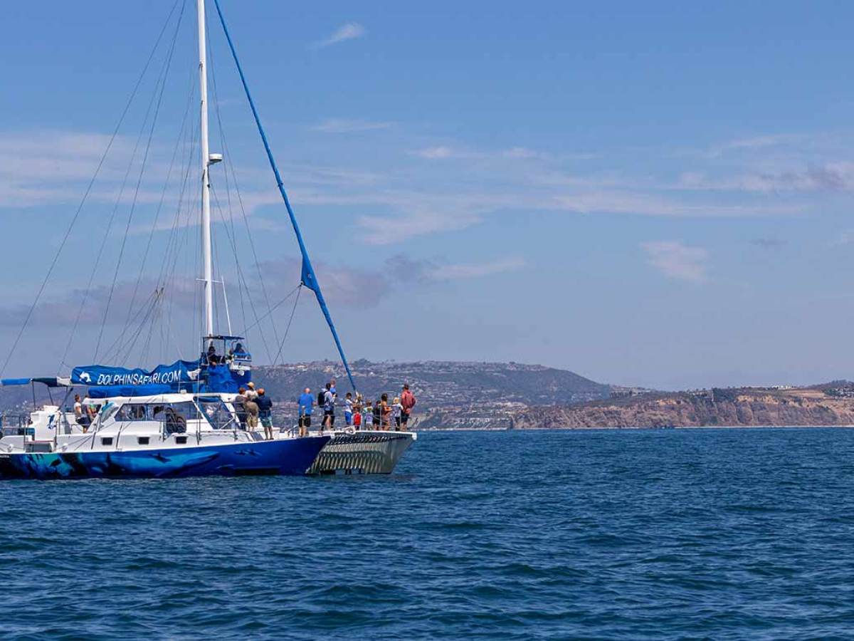 Whale watching catamaran Manute'a passing in front of Dana Point Headlands