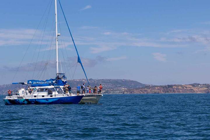 Whale watching catamaran Manute'a passing in front of Dana Point Headlands