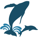 illustration of jumping whale and dolphin with water splash