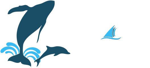 Capt. Dave’s Dolphin & Whale Watching Safari