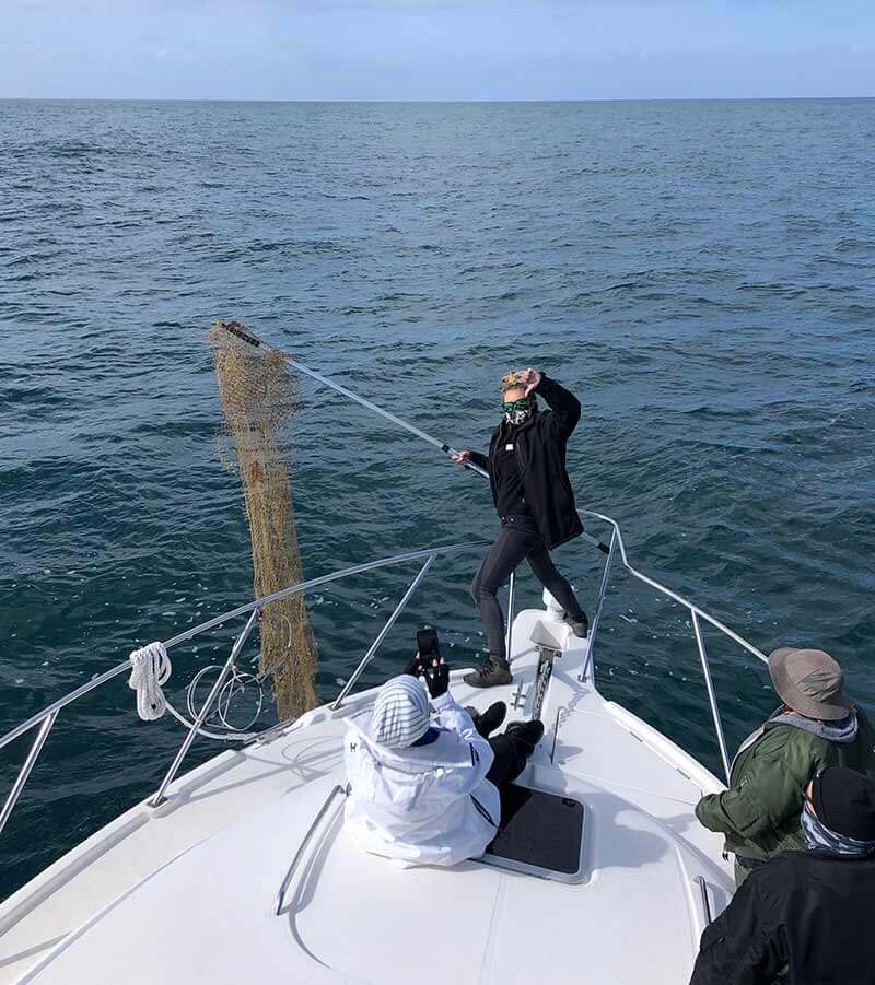Marine naturalist removes discarded fishing gear from ocean during Capt Dave's marine tour