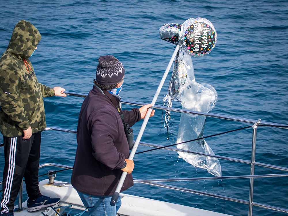 Retrieving balloons from the water during whale watching safari