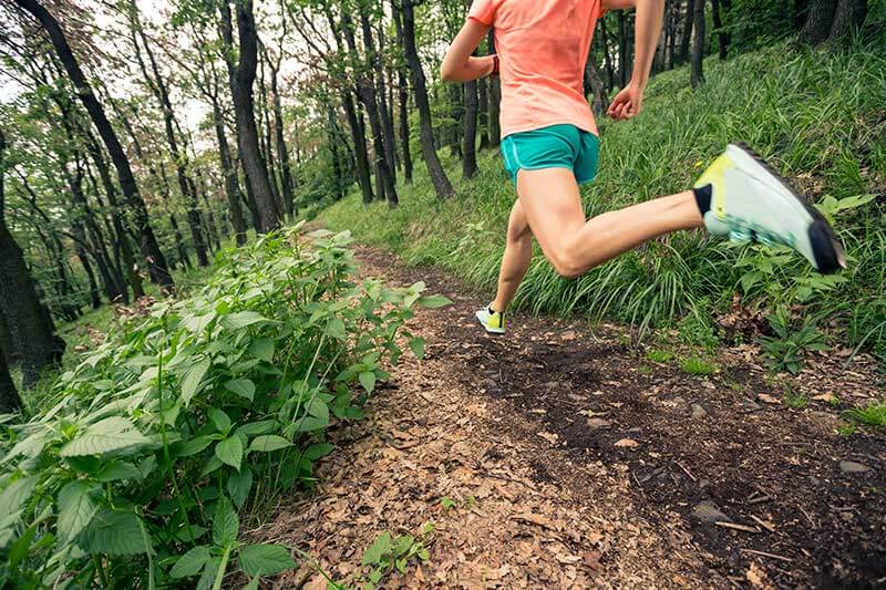 A runner on a trail in a forest