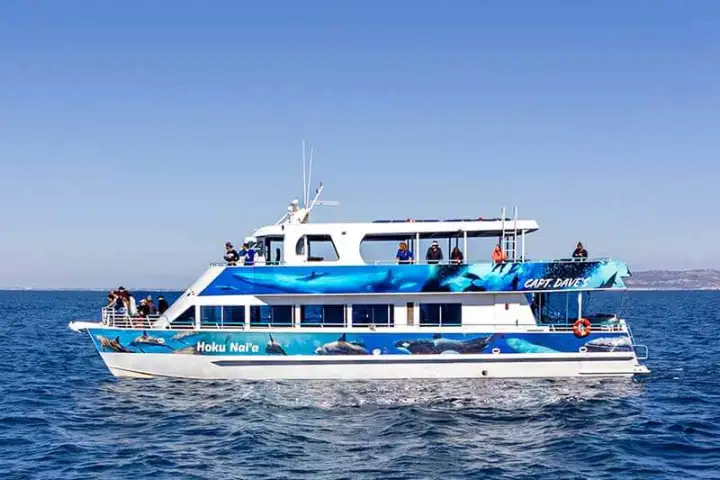 Hoku Nai'a Catamaran Boat Rental off the coast of Dana Point, CA