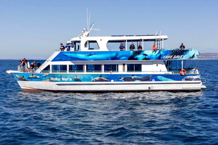 Hoku Nai'a Whale Watching Power Catamaran off the coast of Dana Point, CA