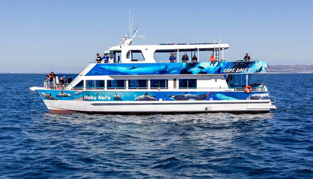 Hoku-Naia-Whale-Watching-Catamaran Hoku Nai'a Whale Watching Power Catamaran off the coast of Dana Point, CA