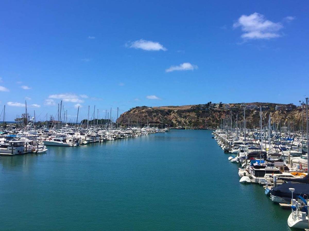 Dana Point Harbor with numerous boats and yachts docked, clear blue sky, and the famous rocky headlands in the background.