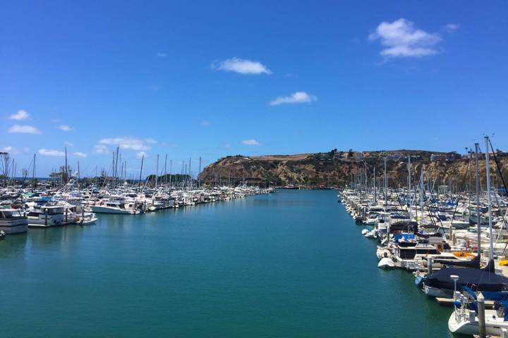 Dana Point Harbor with numerous boats and yachts docked, clear blue sky, and the famous rocky headlands in the background.