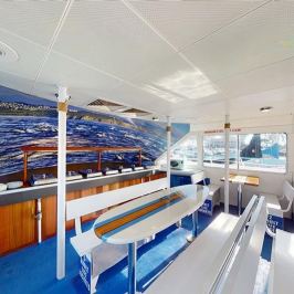 Buffet and bench seating with surfboard tables on main deck of Hoku Nai'a Whale Watching Power Catamaran off the coast of Dana Point, CA