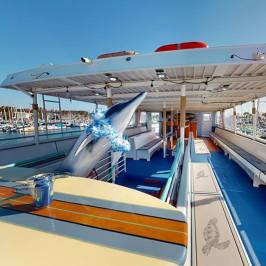 Observation deck of Hoku Nai'a Whale Watching Power Catamaran off the coast of Dana Point, CA