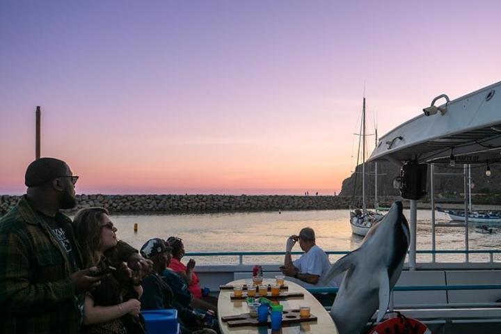Guests enjoy beer and the sunset during Brews Cruise beer tasting experience in Dana Point